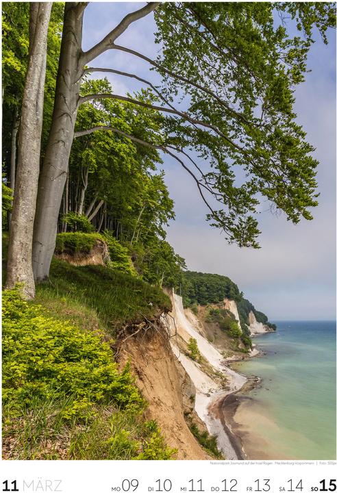 Actual product image Natur - Wochenkalender 2026