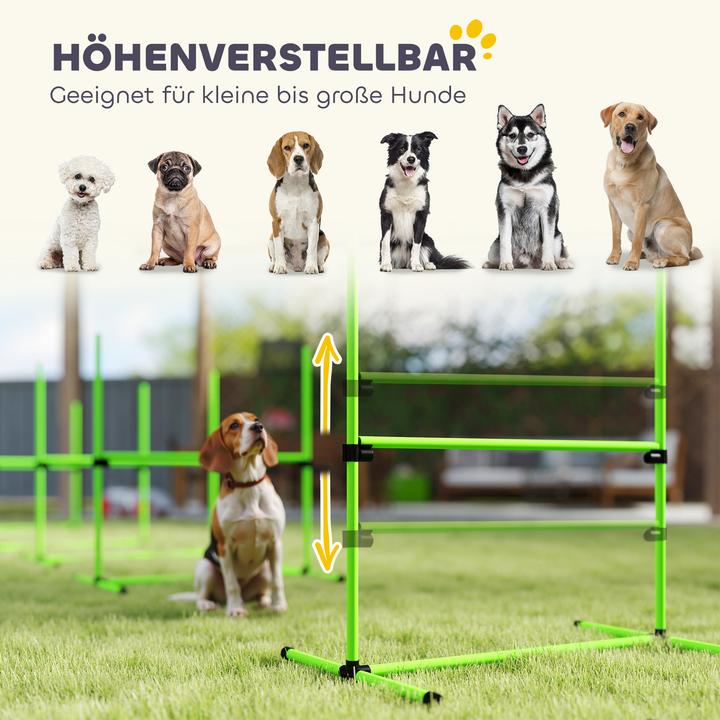 Immagine prodotto PawHut Agility Set Hunde Kunststoff Grün (Destrezza)