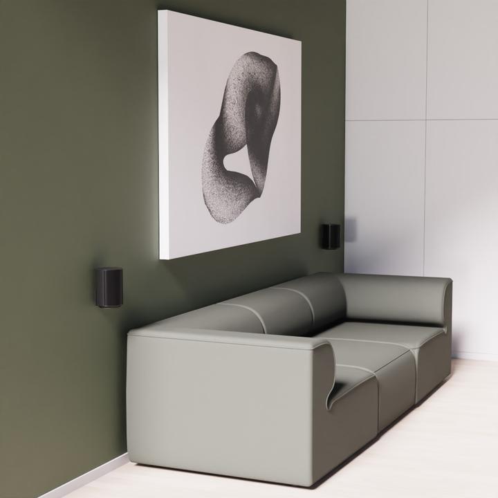 Actual product image Cavus CMSE100XSB2 (Wall installation, Rotatable)