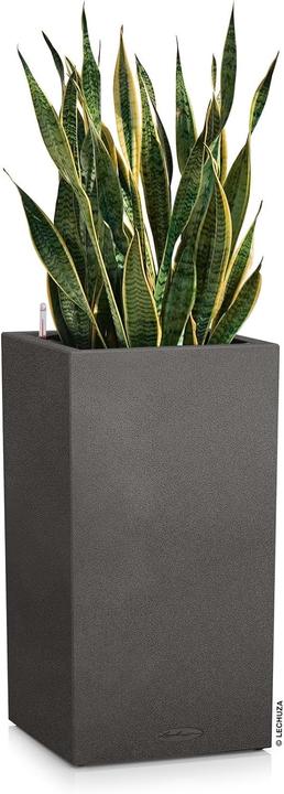 Produktbild Lechuza Canto Stone (40 cm)