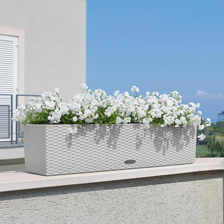 Actual product image Lechuza Balconera Cottage (19 cm)