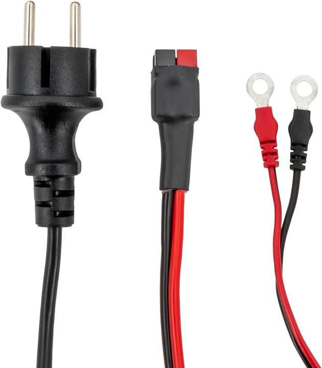 Image du produit GYS GYSFLASH 10.36/48 PL (48V, 10 A)