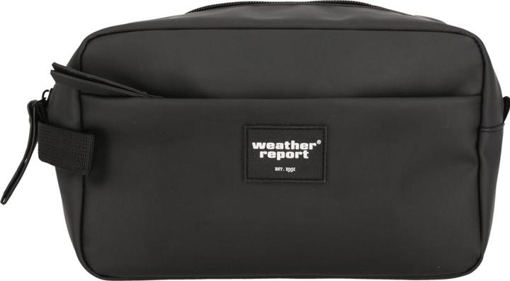 Weather Report Bronze PU