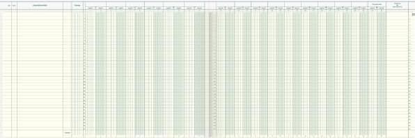 Actual product image König & Ebhardt Vario Journal 16 accounts 48 sheets 49,5x33cm (48x)