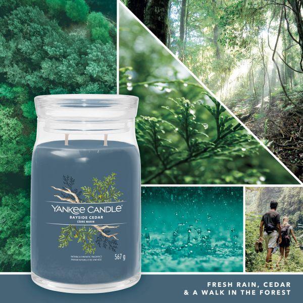 Productafbeelding Yankee Candle Duftkerze Bayside Cedar Signature Large Jar