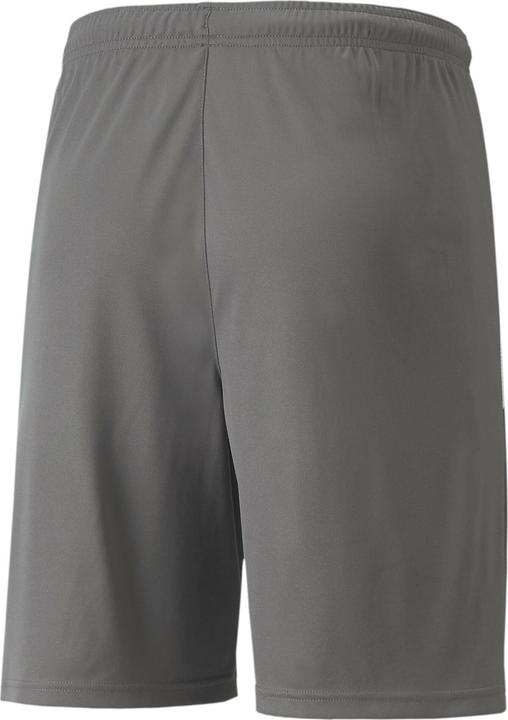 Actual product image Puma teamLIGA Shorts-704924 (XL)