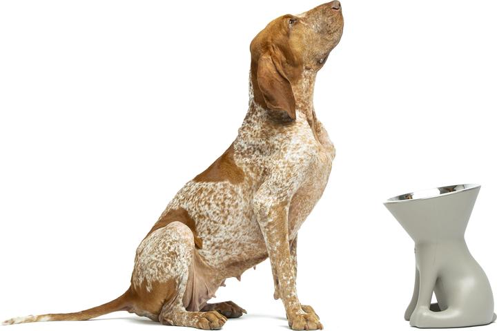 Image du produit United Pets Elisabeth (110 cl)