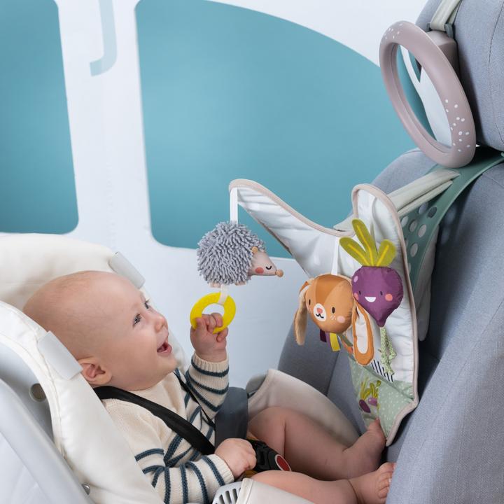 Image du produit Taf Toys Jeu pour la voiture Urban Garden