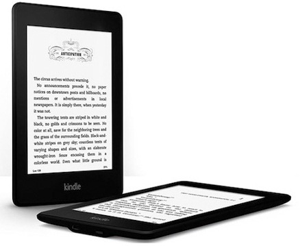 Actual product image Amazon Kindle Paperwhite 2014 (6", 4 GB, Black)