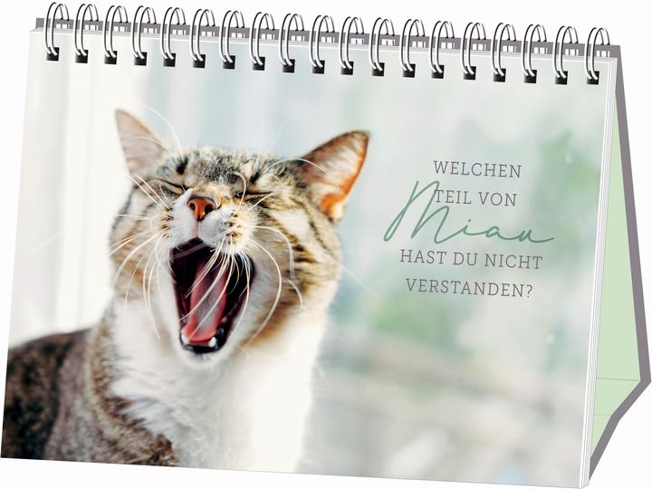 Produktbild Kleine Tiger, grosses Glück!