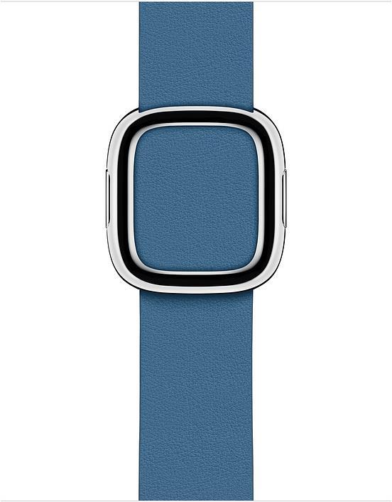 Image du produit Apple Bracelet en cuir moderne (40 mm, Cuir)