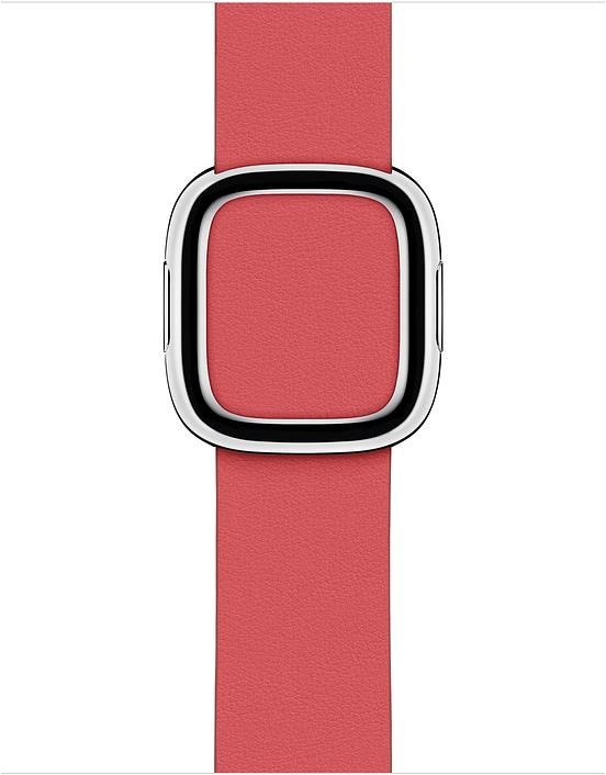 Produktbild Apple Modernes Lederarmband (40 mm, Leder, Apple Watch Series 4, Apple Watch Series 5, Apple Watch Series 6, Apple Watch SE)