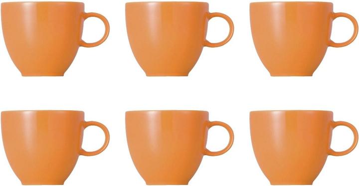 Actual product image Thomas 10850-408505-14722 (80 ml, 1x)