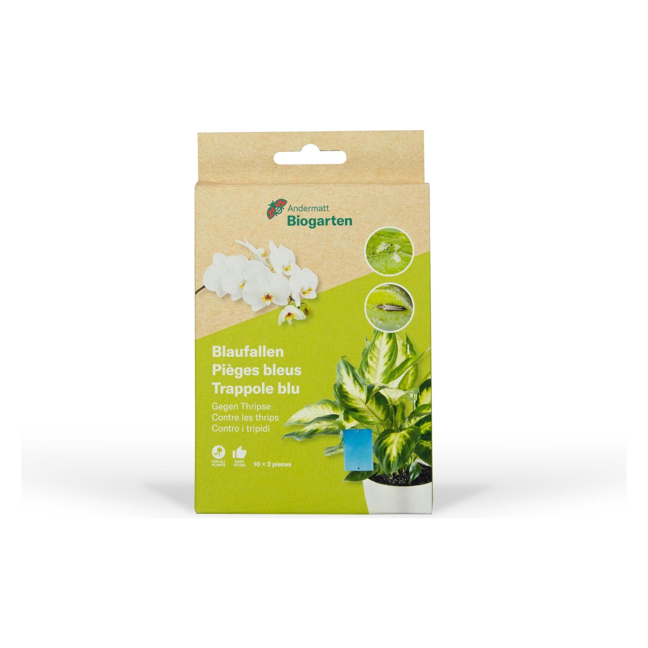 Andermatt Biogarten Blaufallen (4551G)