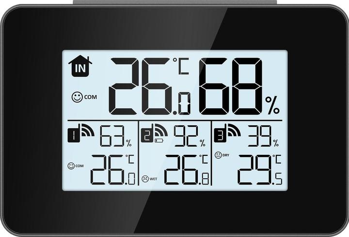 Wellcraft Thermo-hygrometer set