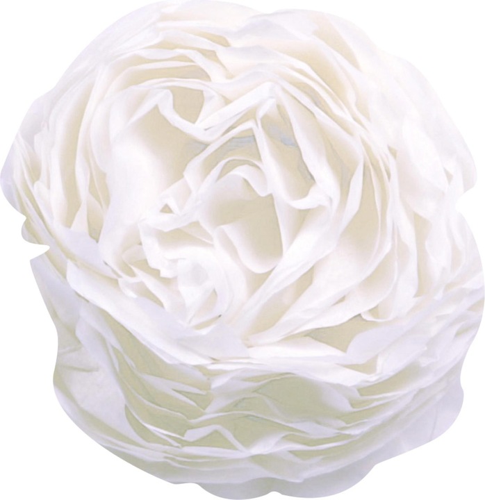 Image du produit Clairefontaine PAPIER DE SOIE, Rouleau de 24 feuilles 18g/m2 au format 50x75cm - Blanc (18 g/m², 1 x)