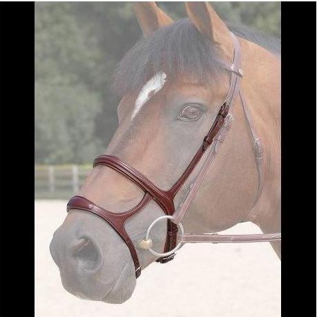 Thumbnail - Dy'on, Zaumzeug