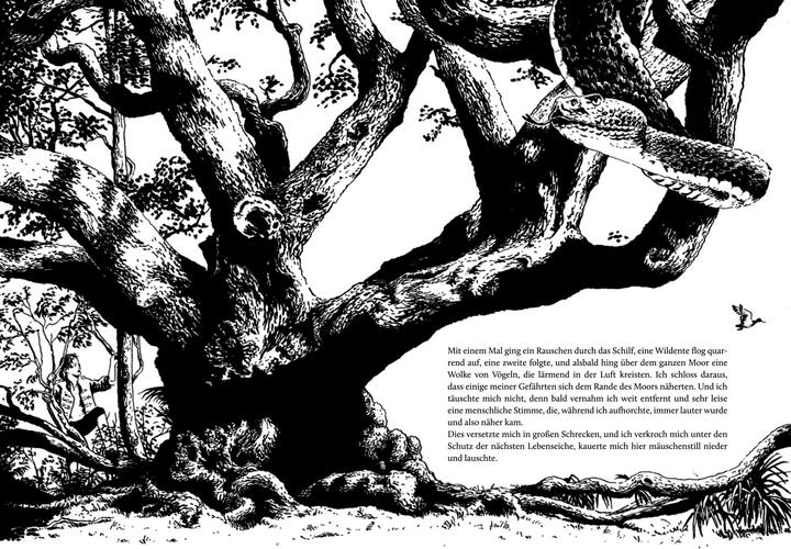 Produktbild Die Schatzinsel (Deutsch, Elisabeth Kessel, Kai Würbs, Robert Louis Stevenson, 2025)