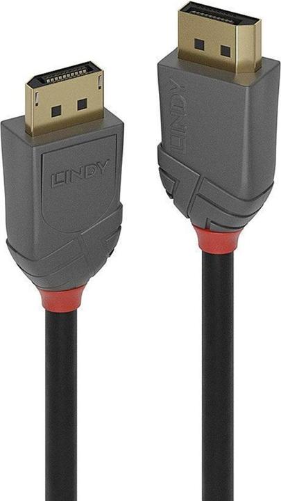 Produktbild Lindy Anthra Line DisplayPort-Kabel (15 m)