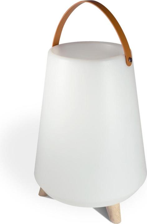 Easy Life Bluetooth Speaker & Wine Cooler LED Light 30x41 cm