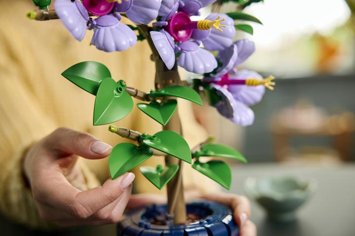 Immagine prodotto LEGO Ibisco (10372, LEGO Botanicals)