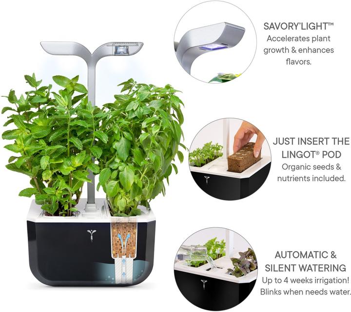 Produktbild Véritable Smart (20 x 18.20 x 45.60 cm)