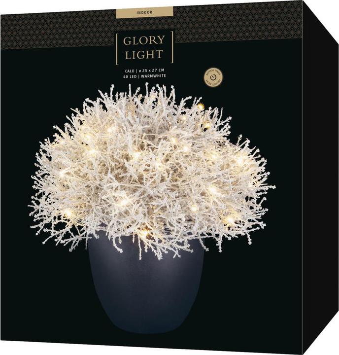 Actual product image STT Calo 27