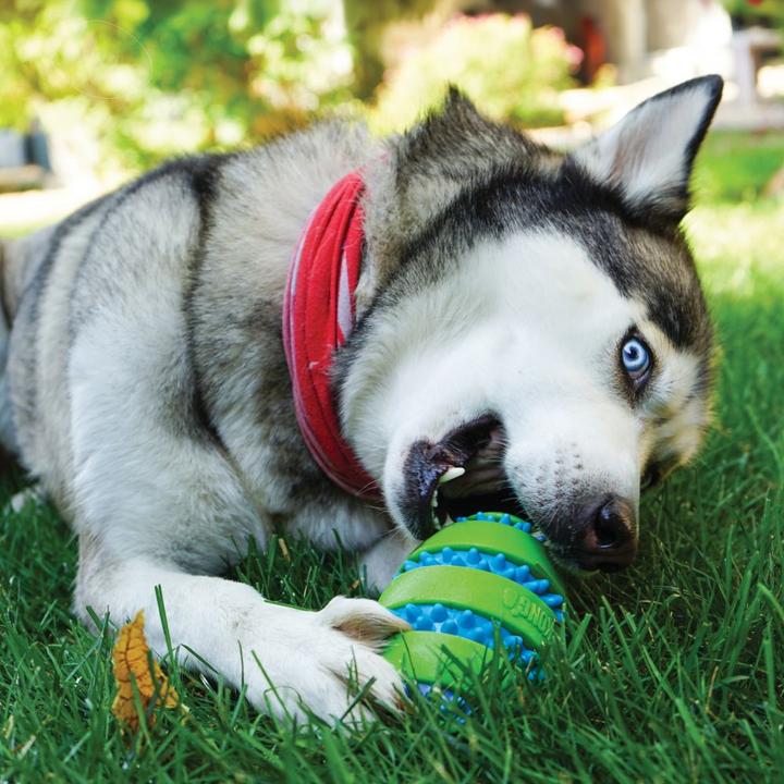 Produktbild KONG Squeezz Goomz (Ballspielzeug Hund)