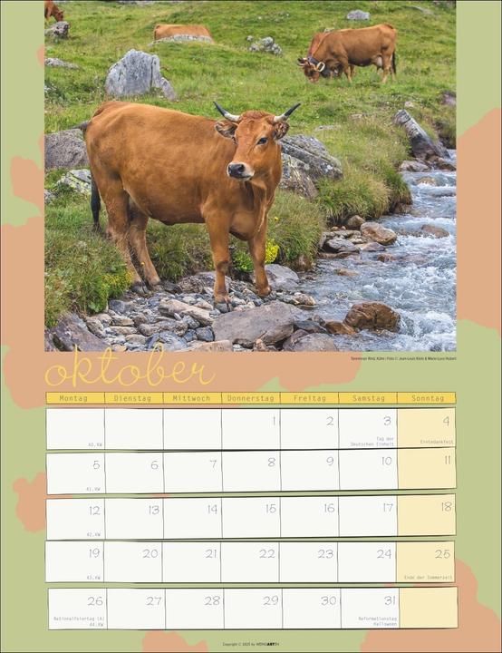 Produktbild Kuh Kalender 2026 (30 x 39 cm)