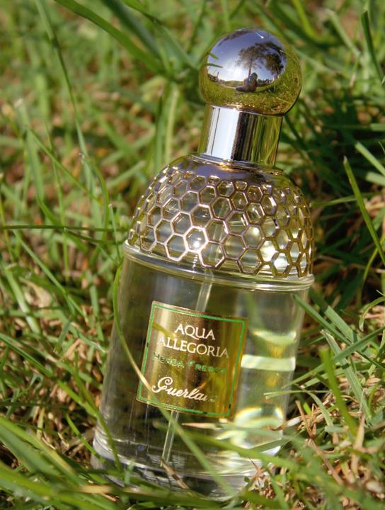 Produktbild Guerlain Aqua Allegoria Herba Fresca (Eau de Toilette, 125 ml)