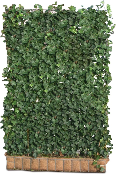 Actual product image Mobilane Hedge (100 cm)