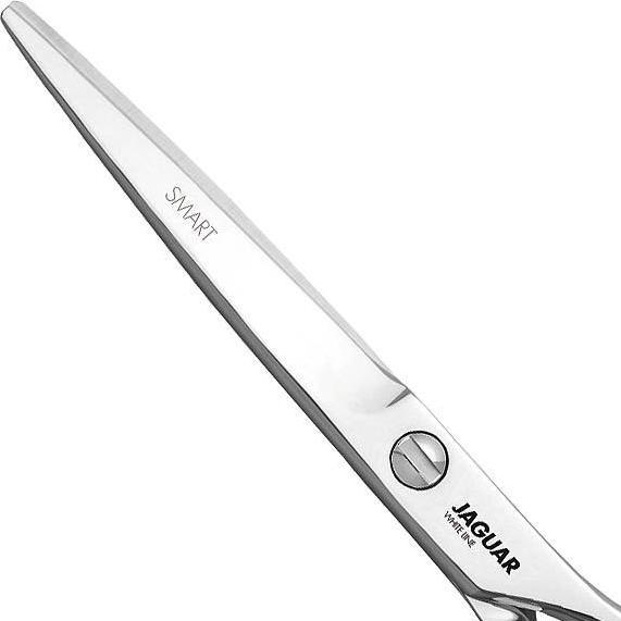 Immagine prodotto Jaguar Linea bianca intelligente HS (13.97 cm)