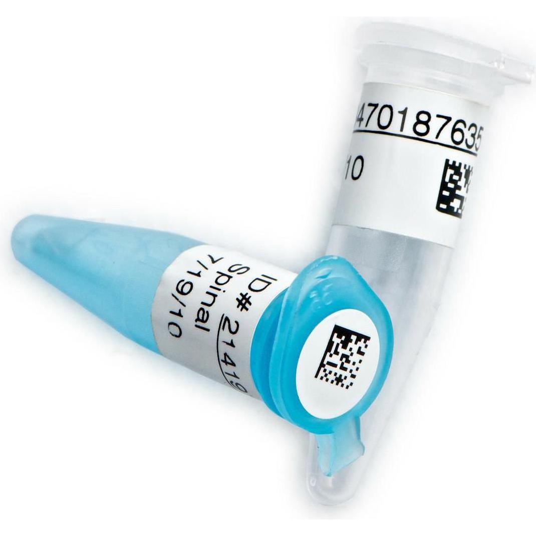 Brady, Etiketten, THT-310-7600-2.5-SC, Polypropylen, Transparent, glänzend, 25.40 x 12.70 mm, permanent (2500