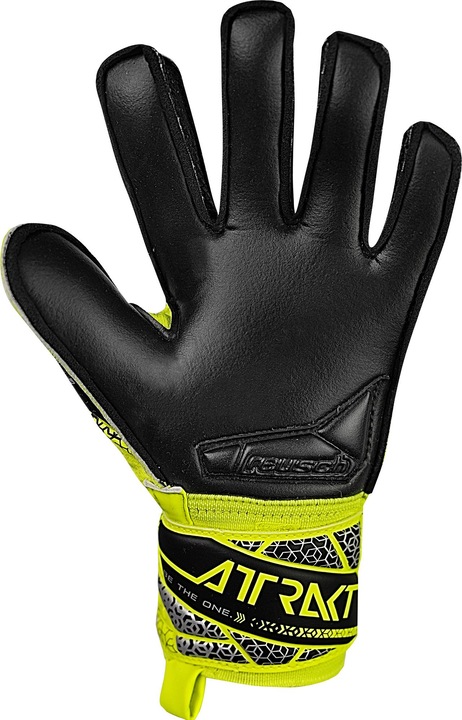 Image du produit Reusch Attrakt Silver (7)