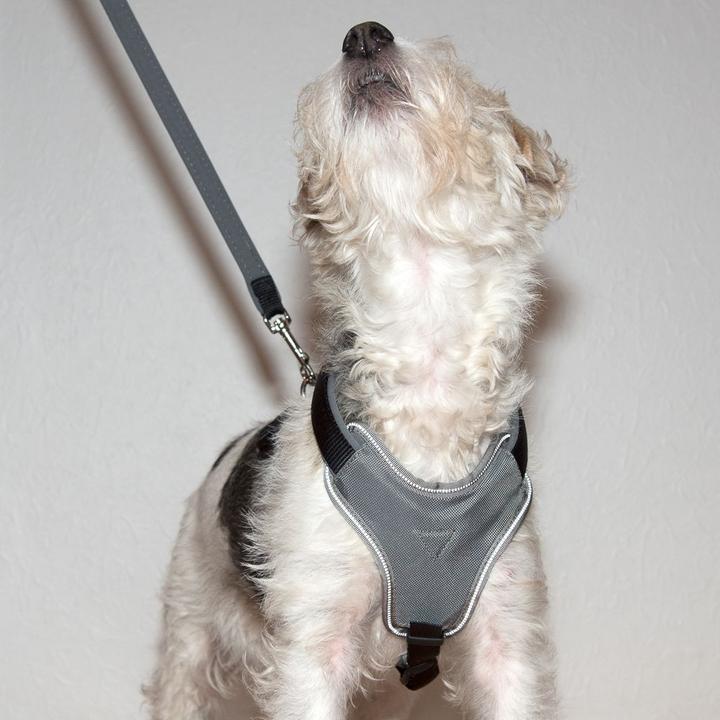 Image du produit Hunter Harnais néoprène Taille : Tour de poitrine (L, Chien, Général)