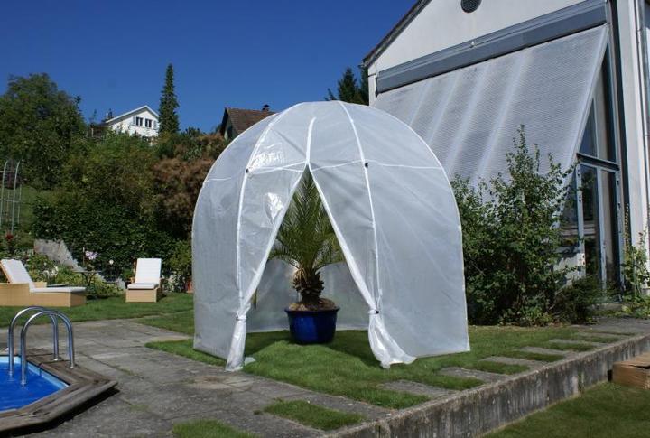 Immagine prodotto Colibri Premium Palm House