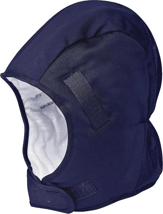 Actual product image Portwest Helmet lining (Ear defenders Replacement earplugs)