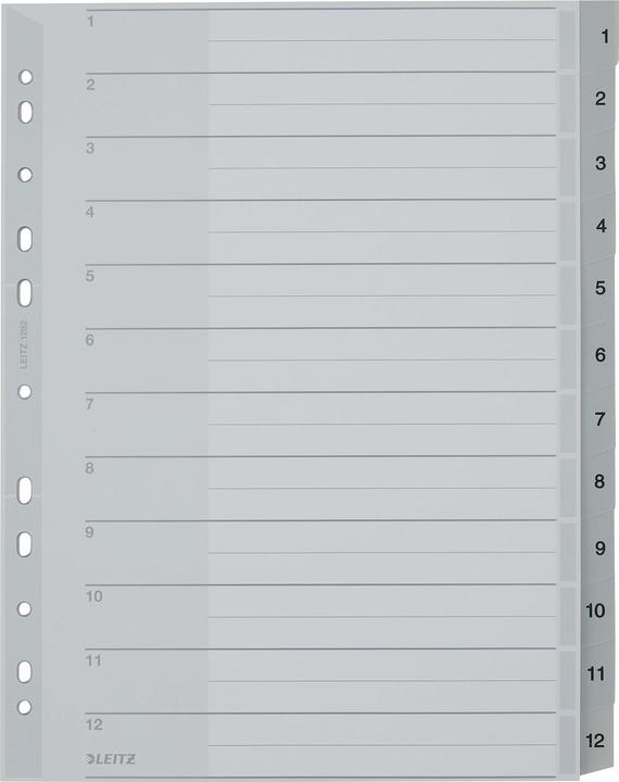 Image du produit Leitz Registre PP gris
