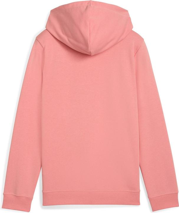 Produktbild Puma ESS No. 1 Logo Hoodie TR G (164)