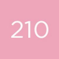 Productafbeelding Diego dalla Palma Nagellak 210 (2010, Email)