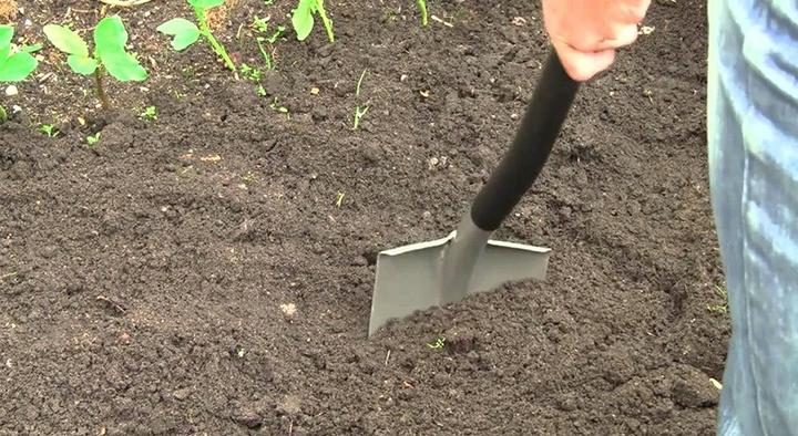 Actual product image Fiskars 1025375 Shovel/trowel spade steel, stainless steel