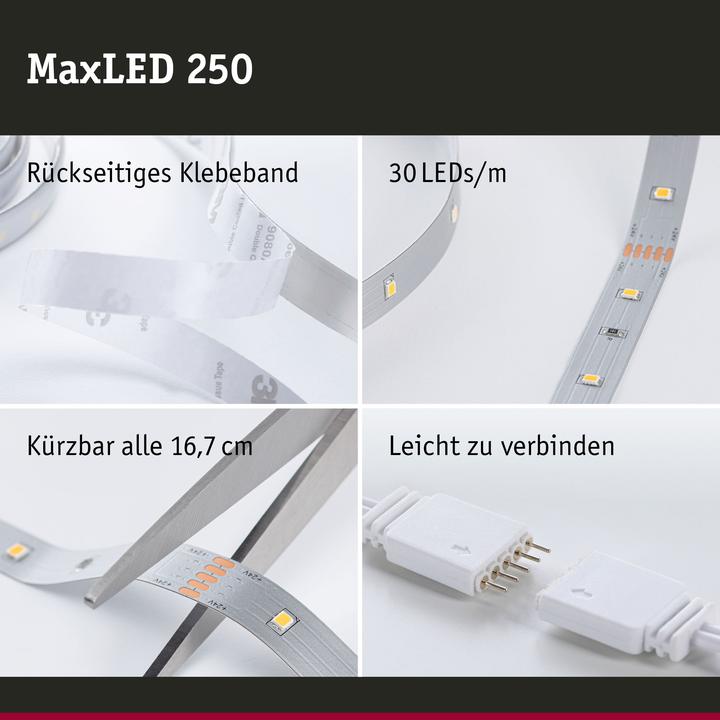 Actual product image Paulmann MaxLED 250 Stripe (Warm white, 500 cm, Indoor)