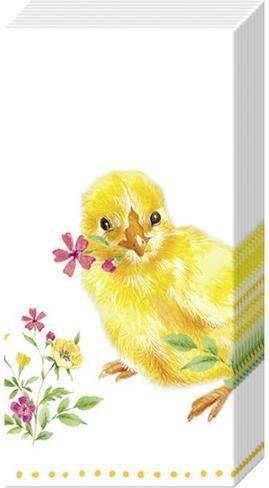Actual product image IHR Handkerchief Chicks chicks