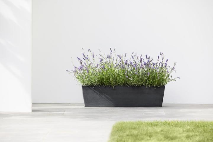 Produktbild Ecopots Bruges (80 cm)