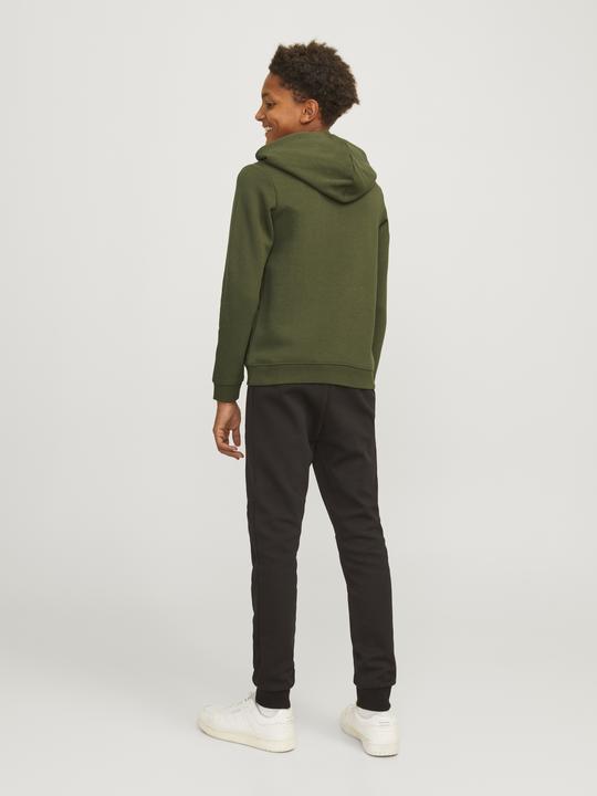 Actual product image Jack & Jones Jcomountain Logo Sweat Hood Sn Mni (98)