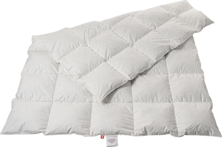 Actual product image Duvetsuisse Medium Goose Standard (550 g, 150 x 210 cm)