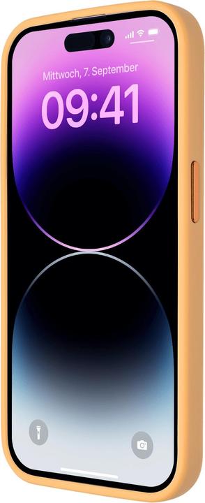 Actual product image Artwizz IcedClip Case (Apple iPhone 14 Pro)