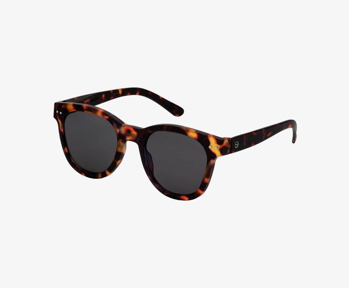 Actual product image Izipizi Sunglasses #C