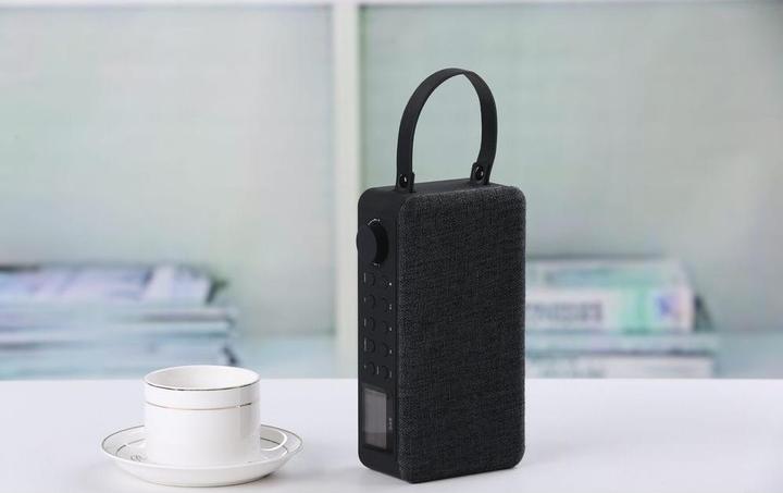 Actual product image Sayva noose Speaker (DAB+, FM, Bluetooth)