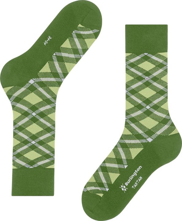 Actual product image Burlington Tartan SO (40 - 46)